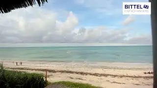 Blick aufs Meer - 27.3.2025