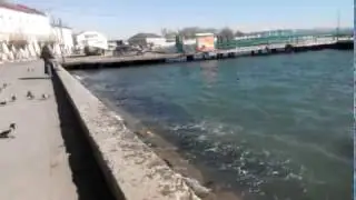 Крым Керчь набережная.
