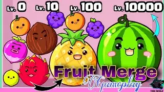 Fruit Marger Android IOS gameplay walkthrough @TheWolf0