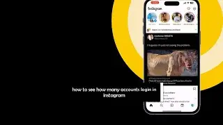 How to see how many accounts login in Instagram