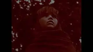 Niño de Elche - El Comunista