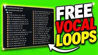 Free Female Vocals Sample Pack - Female vocals samples (PROVIDED BY NOIIZ)