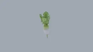 Low Poly Daikon