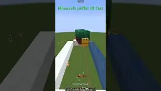 Minecraft Sniffer IQ Test 🤣 