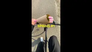 spring1 #spring2024