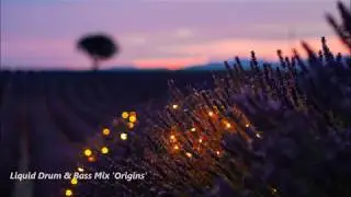 Liquid Drum & Bass Mix 'Origins' #DrumandBass #LiquidDrumandBass #DJMoleyLDN #Mix #OldSchool