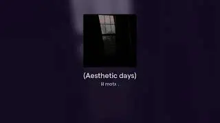 lil motx - (Aesthetic days)