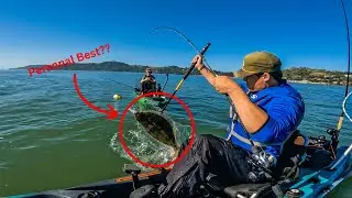 Our Biggest Live Bait HALIBUT So Far | Bay Area Fishing