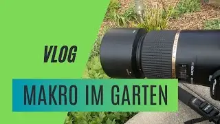 #069 Vlog / Blümchen fotografieren