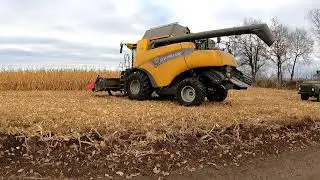 Corn harvesting demo field 2021.