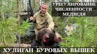 Охота на медведя 2022 