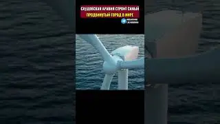 Этот город на воде будет самым современным в мире