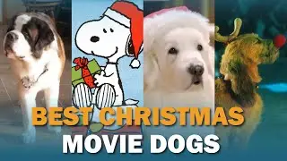 Dogs in Christmas Movies | Talkin' Dogs