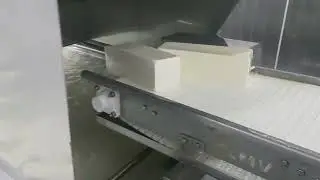 Sistema Automático de Extrusão Moldagem e Resfriamento de Queijos