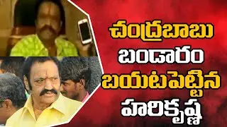 Harikrishna Revels About Chandrababu naidu Real Humanity | Social Tv