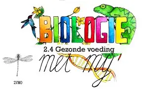 2VG - 2.4 Gezonde voeding