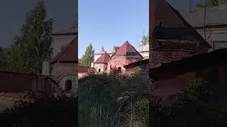 8 сентября 2024 г.