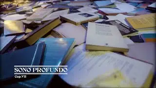 Fresno - Sono Profundo (QUARTO DOS LIVROS 20 ANOS)