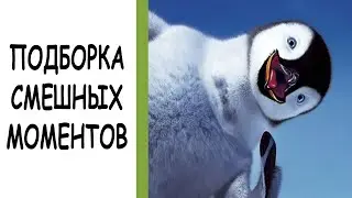 ВЕСЕЛЫЕ ПИНГВИНЫ