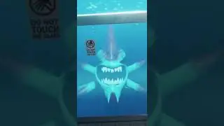 Решил сегодня побывать в аквариуме🐟#Shorts