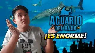 🐟 ACUARIO DEL BAJIO ¿Vale la pena? - 💰Tips, Costos, Ubicación