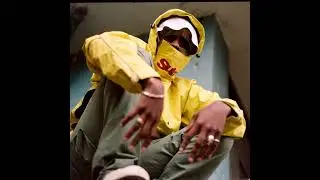 $NOT - DVD (Instrumental)