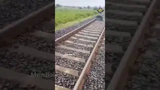 A person was sleeping on the railway track Seeing this, the loco pilot stopped the train