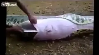 OMG