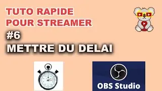 METTRE du DELAI : TUTO POUR STREAMER #6 [OBS]