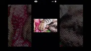 Видеоотзыв от нашей покупательницы из Китая