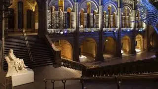 Hintze Hall, Natural History Museum