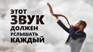 Звук, который исполняет желание. Вся правда о шофаре