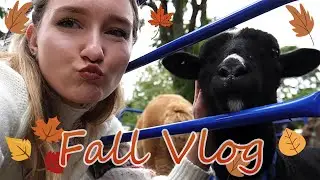 FALL FESTIVAL VLOG!!! ~ A gamer goes outside, pets animals & enjoys life