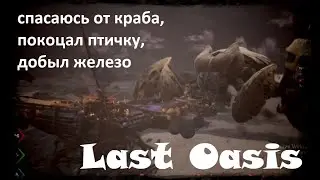 Last Oasis - еле сбежал от краба, убил птичку, добыл железо