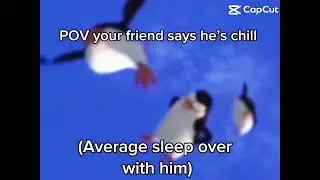 POV your friend says he’s chill