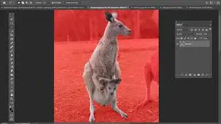 Blending modes, Paste Into and Layer Masks in Adobe Photoshop