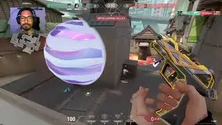 COMP ALL SEASON!