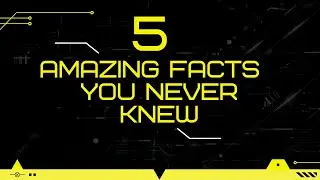 5 Amazing Facts That You Never Knew