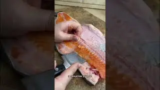 Как быстро и просто  разделать форель ?