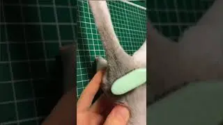 Фэнтезийный зверь - кикух