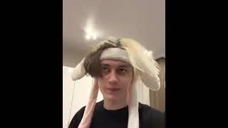 мини эдит