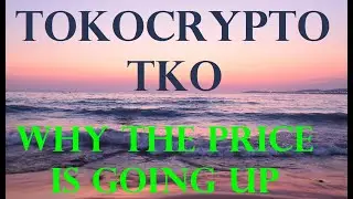 #Tokocrypto