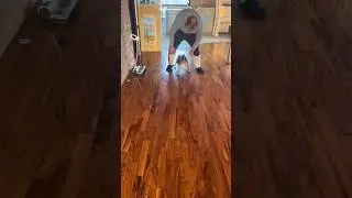 DOG 😁