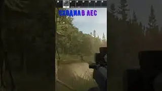 Сходил в лес 