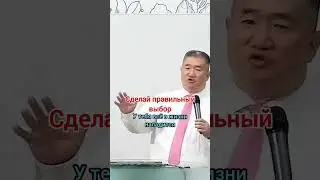 Сделай правильный выбор / Николай Чжен