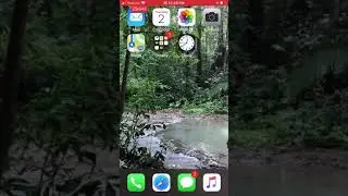 How to use Google 3D AR Animals