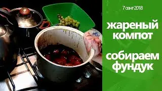 FRIED COMPOTE carefully recipe COLLECTING HAZELNUT
