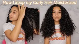 How I keep my Curly Hair Moisturized in between Wash Days