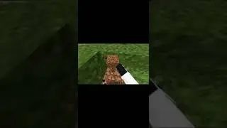 Minecraft but if I walk on grass..