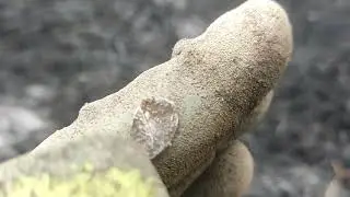 Коп с АКА Интроник.;)